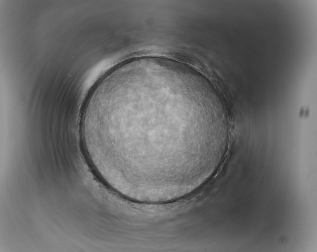 X0000111360006200907241233