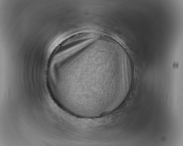 X0000111360007200907241233