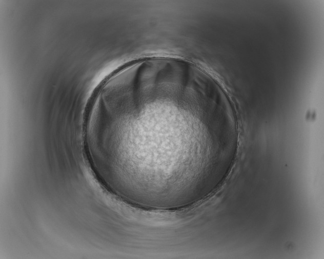 X0000111360008200907241233
