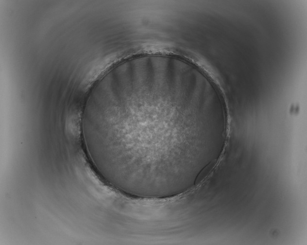 X0000111360009200907241233