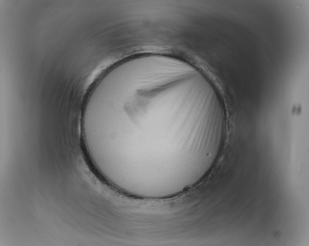 X0000111360011200907241233