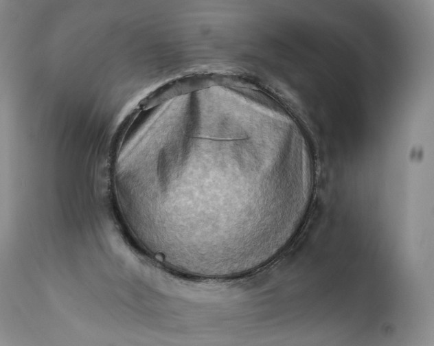 X0000111360012200907241233