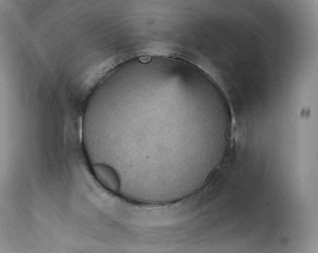 X0000111360013200907241233