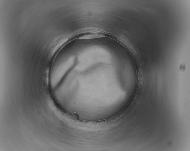 X0000111360014200907241233