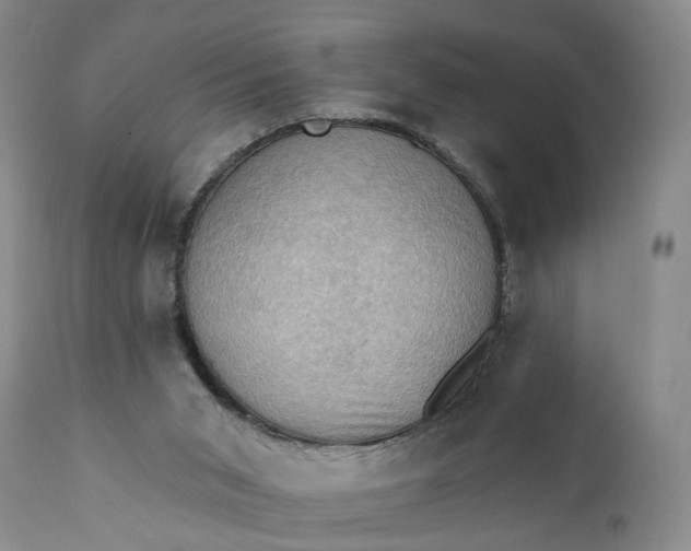 X0000111360015200907241233