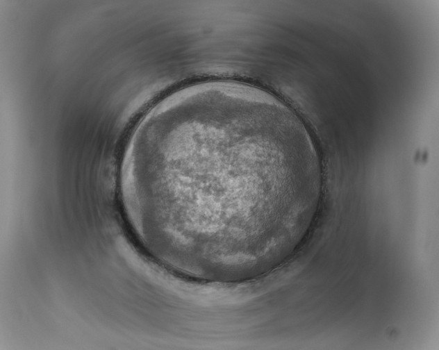 X0000111360016200907241233