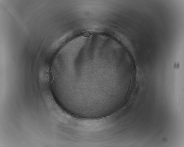 X0000111360017200907241233