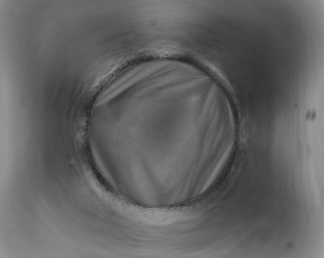 X0000111360018200907241233