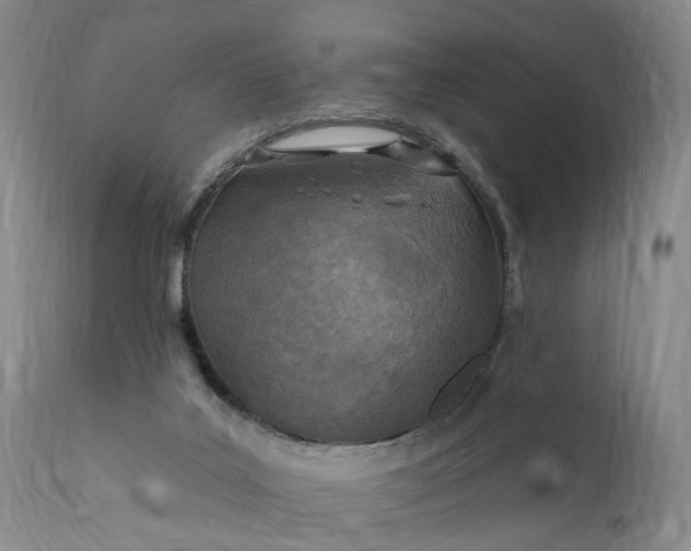 X0000111360019200907241233
