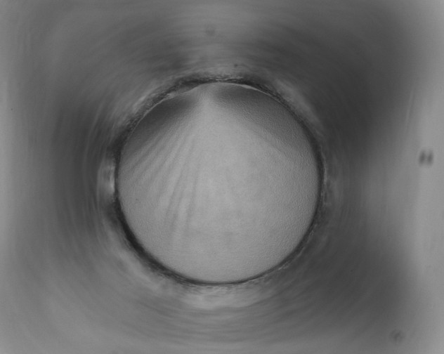X0000111360021200907241233