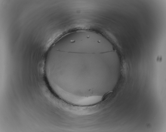 X0000111360023200907241233