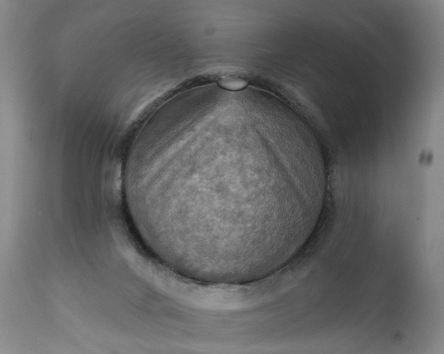 X0000111360024200907241233