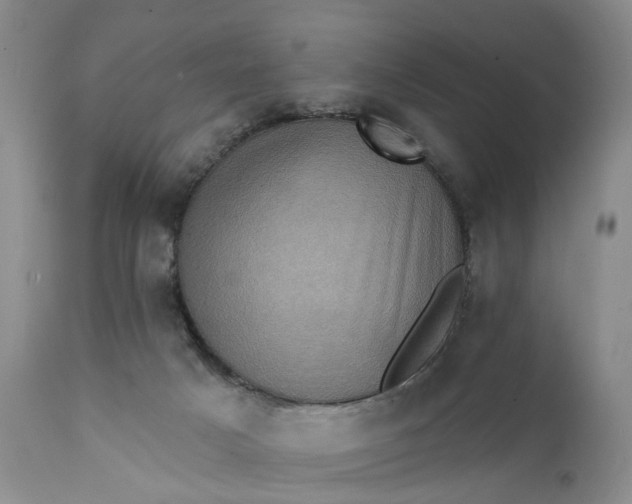 X0000111360025200907241233