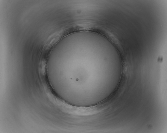 X0000111360026200907241233