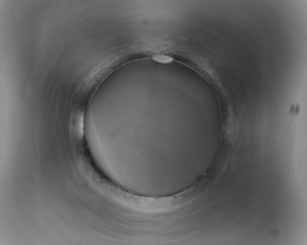 X0000111360027200907241233