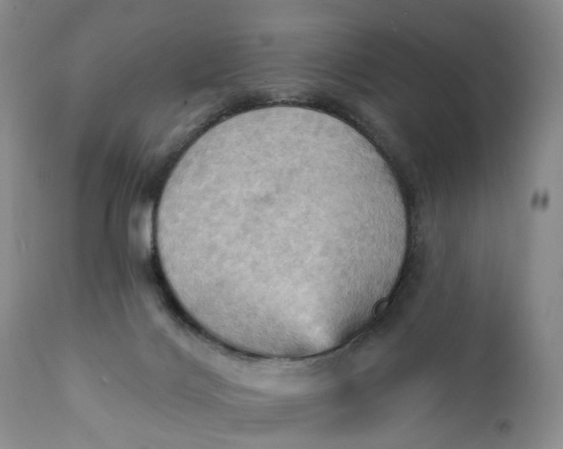 X0000111360028200907241233