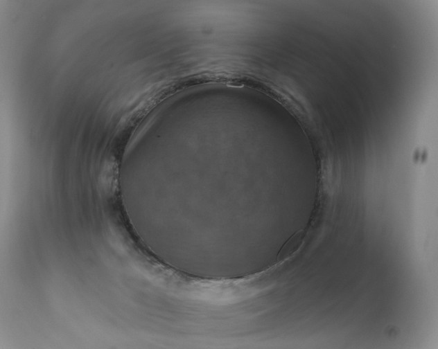 X0000111360029200907241233