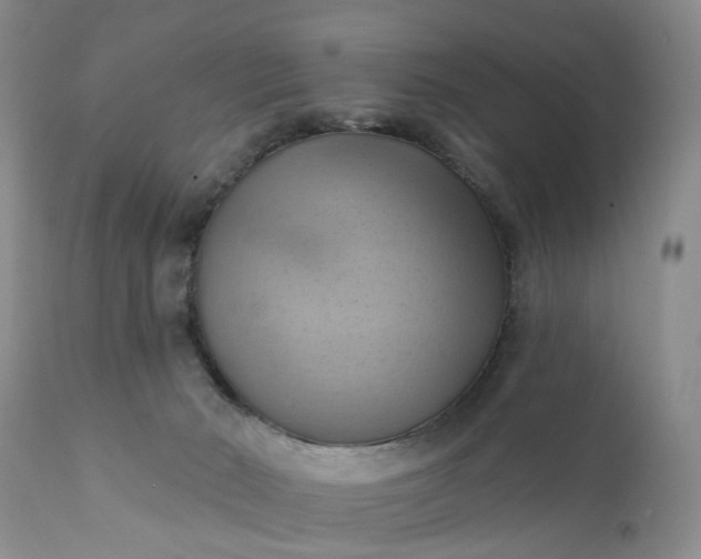 X0000111360030200907241233