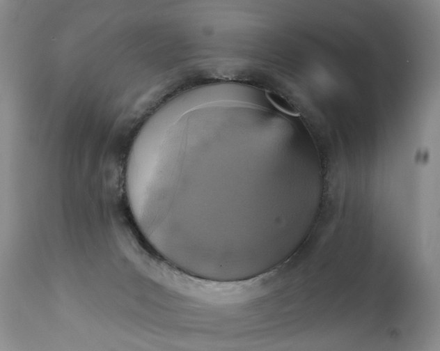 X0000111360031200907241233