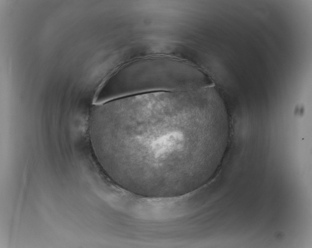X0000111360033200907241232