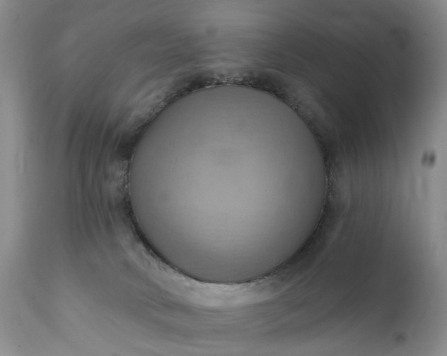X0000111360034200907241232