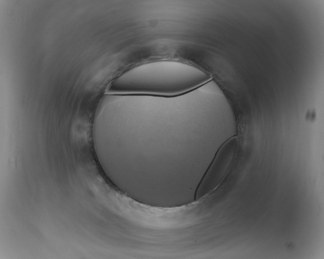 X0000111360035200907241232