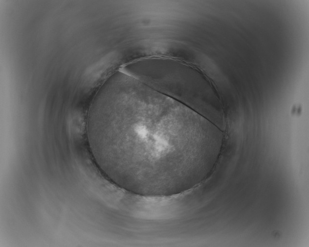 X0000111360037200907241232