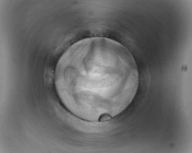 X0000111360038200907241232