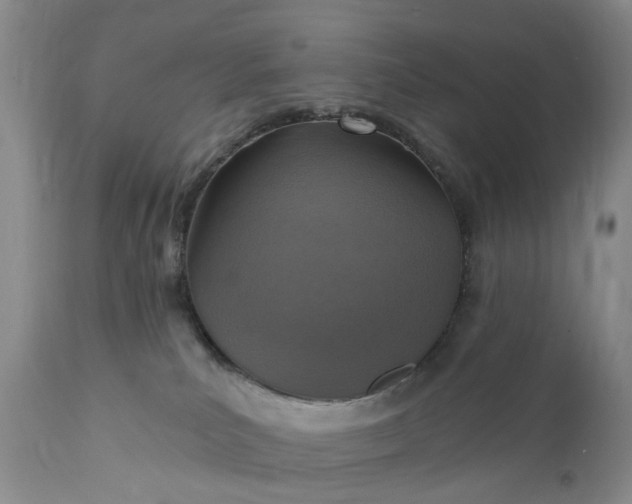 X0000111360039200907241232