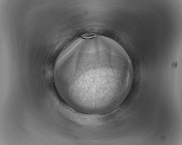 X0000111360040200907241232