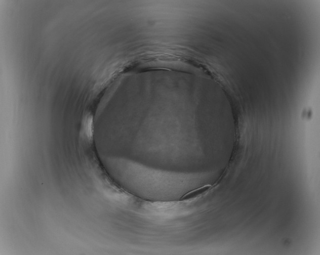 X0000111360041200907241232