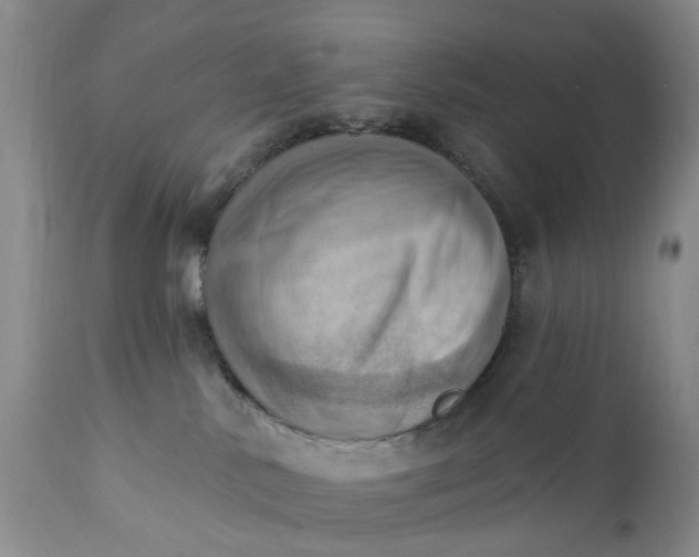 X0000111360042200907241232