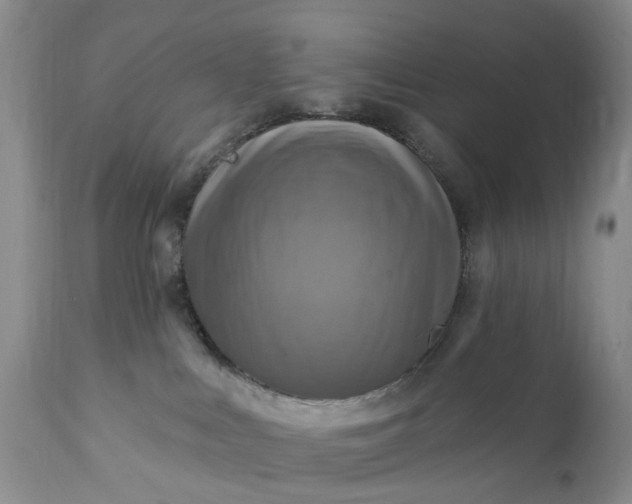 X0000111360043200907241232