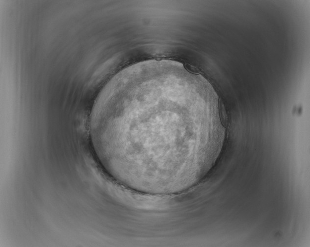 X0000111360044200907241232