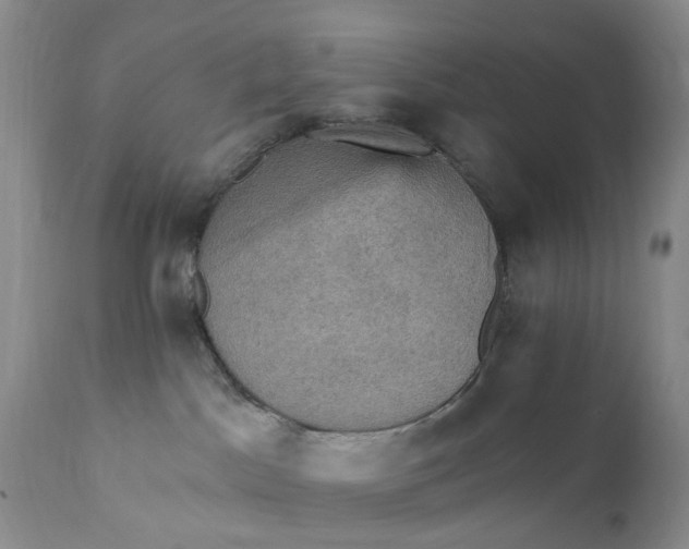 X0000111360045200907241232
