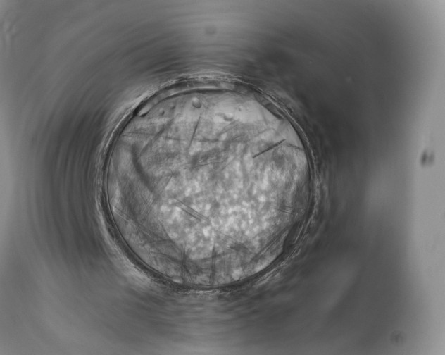 X0000111360049200907241231