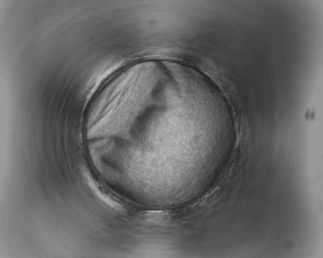X0000111360050200907241231