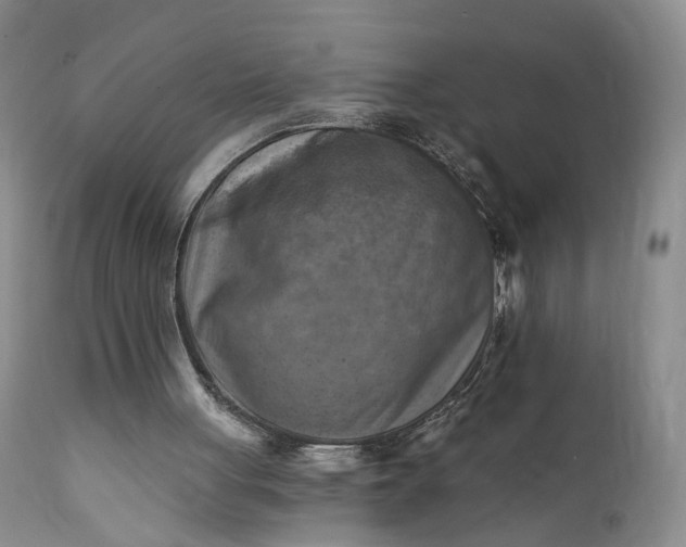 X0000111360051200907241231