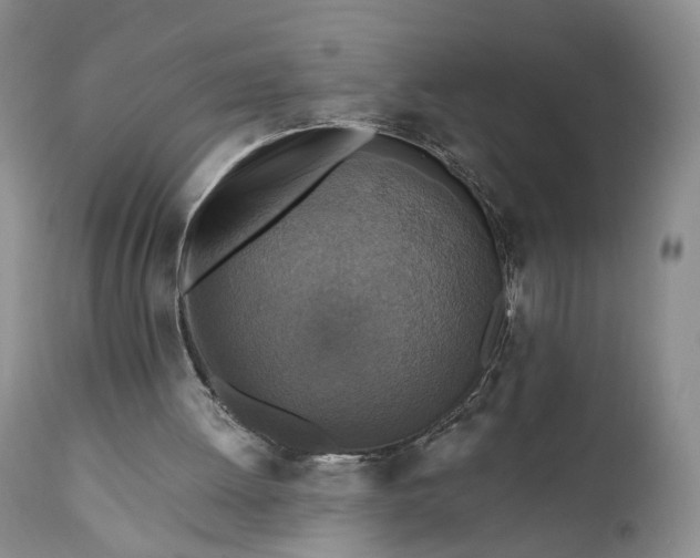 X0000111360052200907241231
