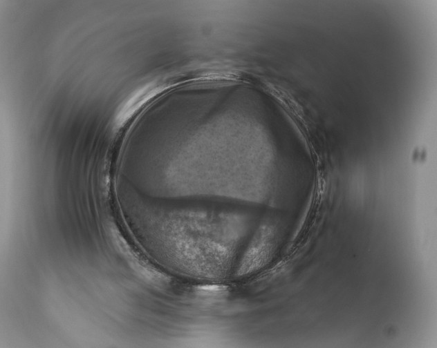 X0000111360053200907241231