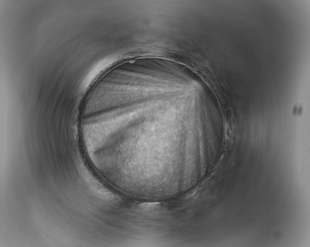X0000111360054200907241232