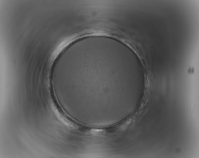 X0000111360055200907241232