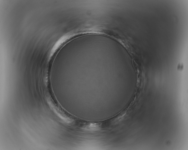 X0000111360056200907241232