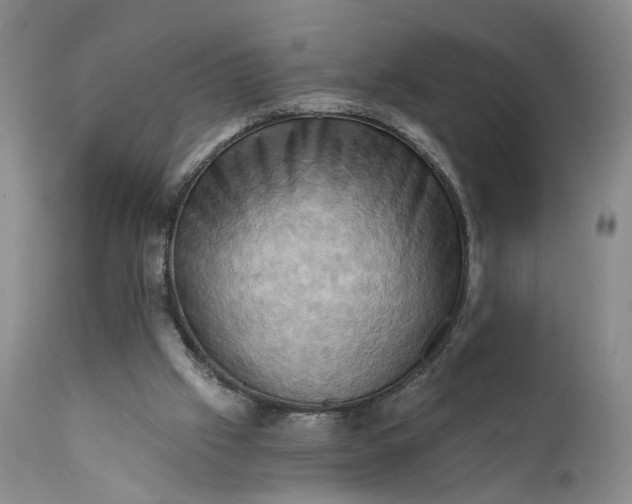 X0000111360057200907241232
