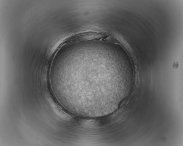 X0000111360058200907241232