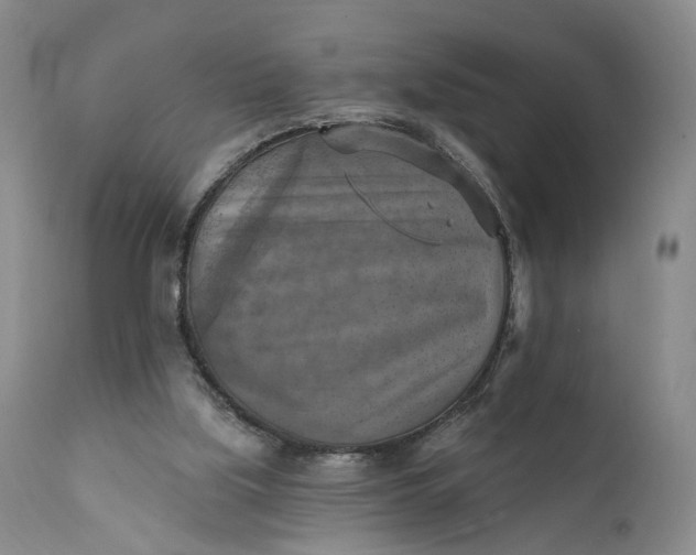 X0000111360059200907241232