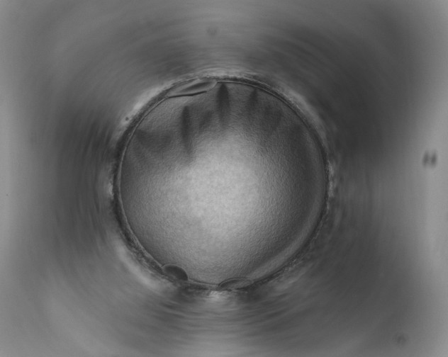 X0000111360060200907241232