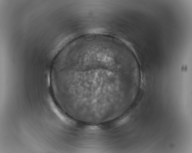 X0000111360061200907241232