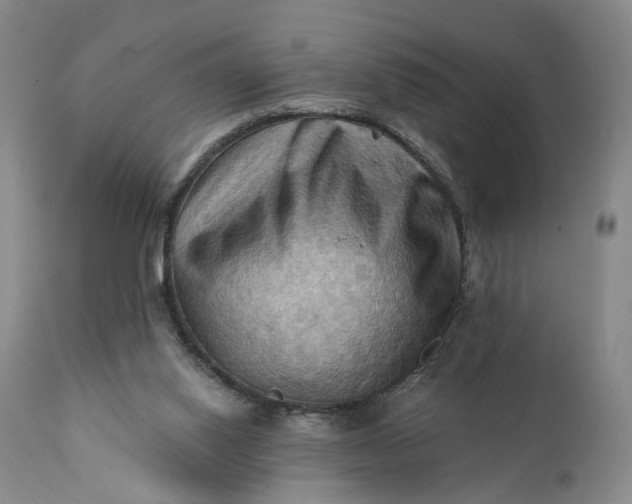 X0000111360062200907241232