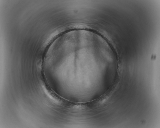 X0000111360063200907241232